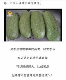 吃瓜網官網免費觀看 吃瓜網官網,免費觀看，暢享娛樂盛宴